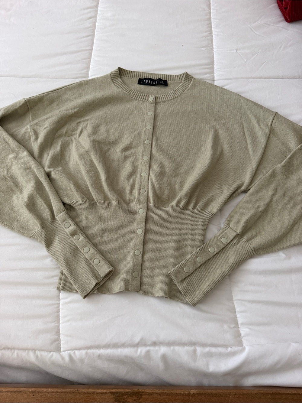 Lioness Head in the Clouds Light Sage Knit Cardigan